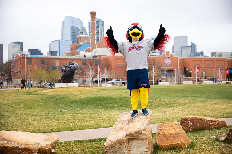 Rowdy the Roadrunner standing on rock outside Tivoli Student Union.