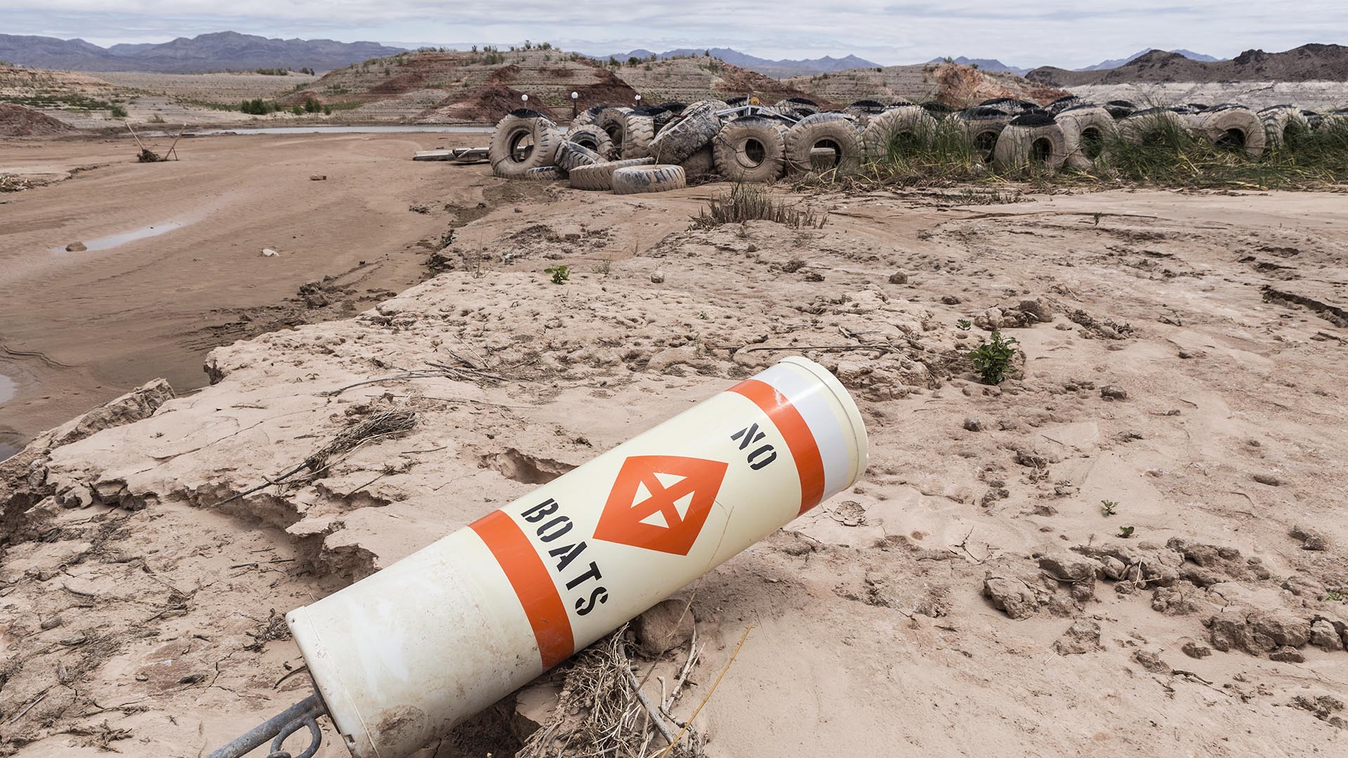 Desolate landscape showing environmental issues and decay