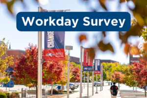 Workday survey