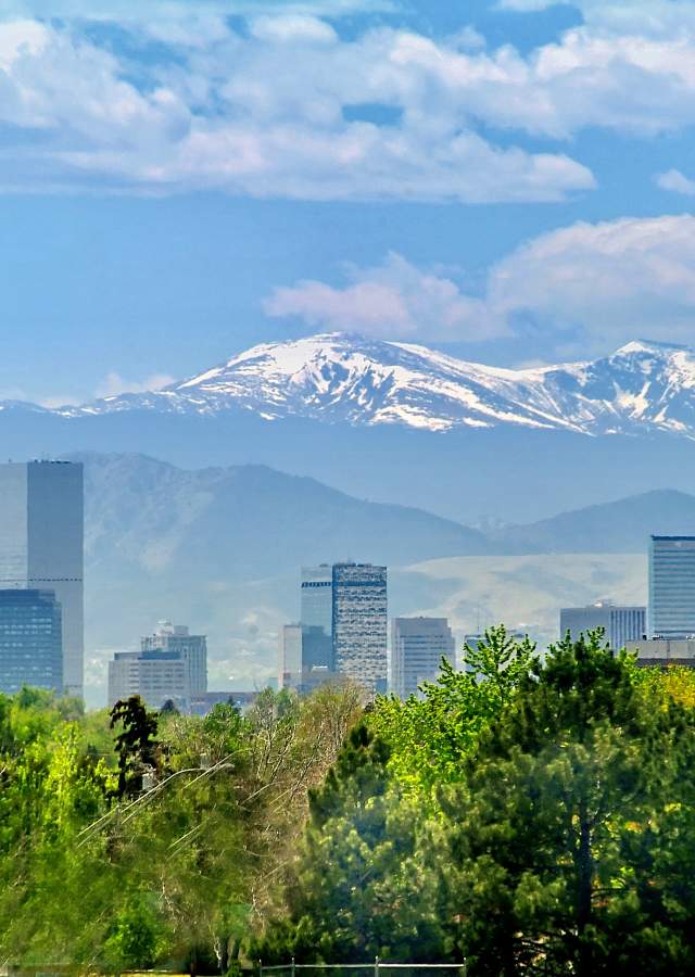Denver daytime skyline with trees and snowcapped mountains.
