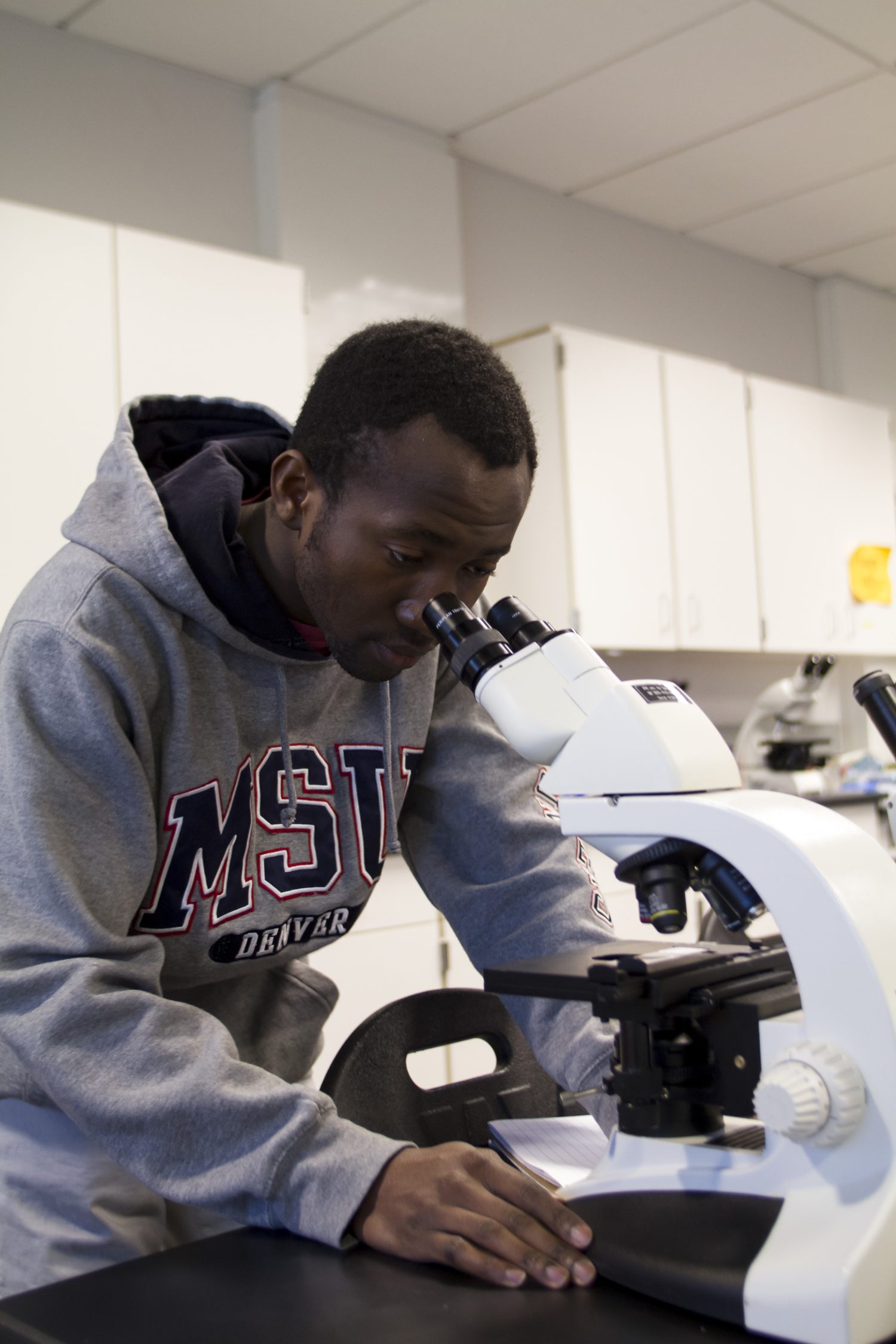 MSU Denver Student looking through a microscope