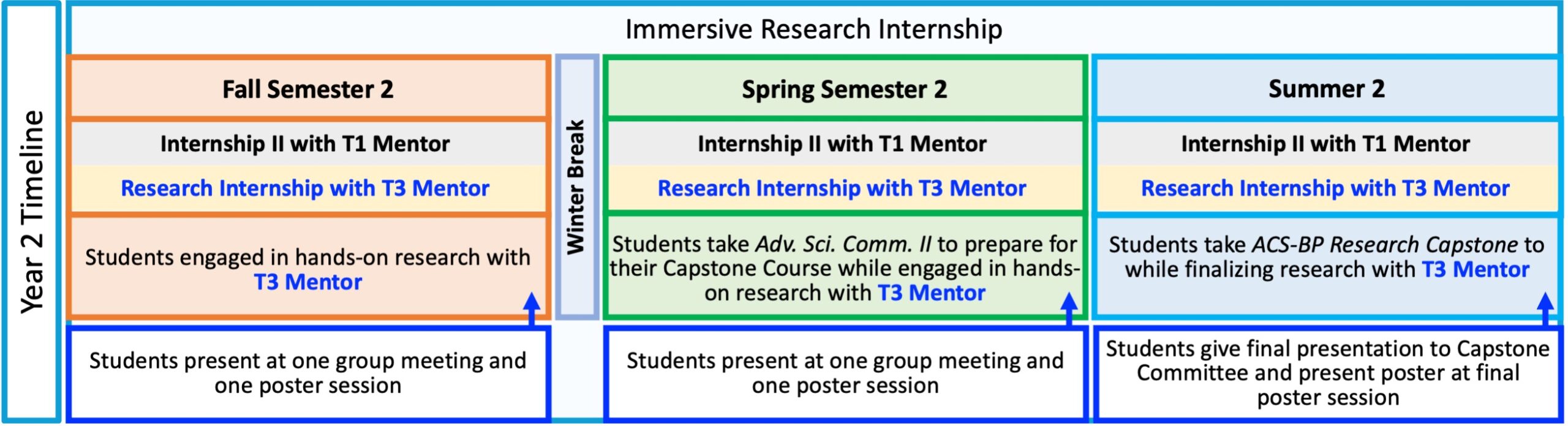 Cartoon of the timeline of events in the second year of the ACS Bridge Program. Throughout the Fall, Spring and Summer of Year 2, students continue working on the Immersive Research Internship portion of the program which includes the following activities (also described above) 1. Meet with their T1 Mentor for ≈1 hour per week 2. Meet with their T3 Mentor for ≈1 hour per week 3. Engage in hands-on research in their T3 Mentor’s lab for 36-40 hours per week 4. Attend group meetings for the T3 Mentor’s lab ≈1-2 hours per week. a. Prepare one oral presentation on their research project to give during group meeting at least once per summer/semester 5. Prepare one poster on their research project to present at a poster session at MSU Denver or a partner institution once per summer/semester. The only deviations from the regularly recurring activities of the Immersive Research Internship occur at the following times for the following reasons: 1. During the Spring Semester of Year 2, the students take Advanced Science Communication II, wherein they perform guided activities that will form the groundwork for their written theses. a. The time commitment for hands-on research drops to ≈30 hours per week while students complete Advanced Science Communication II. 2. During the second summer in the program, the students take the ACS-BP Capstone Course, wherein the students may have longer weekly meetings with their T1 and T3 mentors as they finish writing their thesis, final oral presentation, final poster, and prepare for their Orals-style exam with their Capstone Committee. a. The time commitment for hands-on research drops to ≈10-20 hours per week while students complete their Capstone projects.