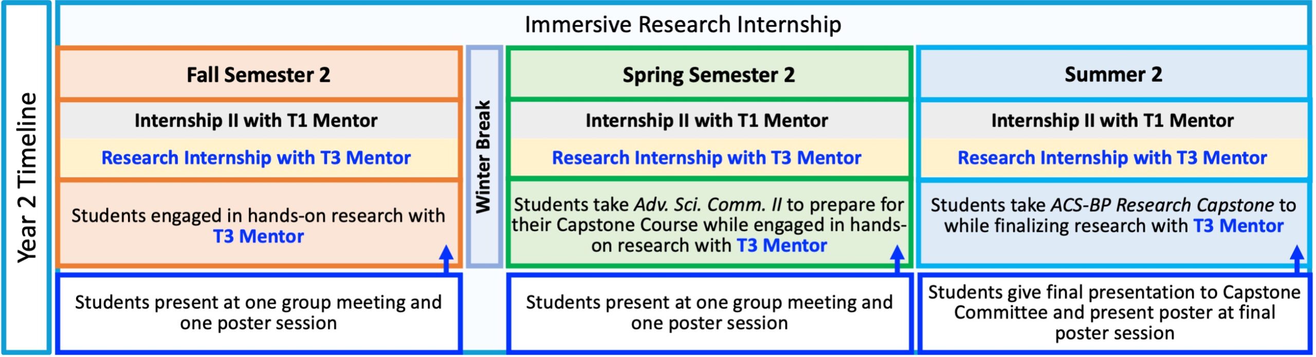 Cartoon of the timeline of events in the second year of the ACS Bridge Program. Throughout the Fall, Spring and Summer of Year 2, students continue working on the Immersive Research Internship portion of the program which includes the following activities (also described above) 1. Meet with their T1 Mentor for ≈1 hour per week 2. Meet with their T3 Mentor for ≈1 hour per week 3. Engage in hands-on research in their T3 Mentor’s lab for 36-40 hours per week 4. Attend group meetings for the T3 Mentor’s lab ≈1-2 hours per week. a. Prepare one oral presentation on their research project to give during group meeting at least once per summer/semester 5. Prepare one poster on their research project to present at a poster session at MSU Denver or a partner institution once per summer/semester. The only deviations from the regularly recurring activities of the Immersive Research Internship occur at the following times for the following reasons: 1. During the Spring Semester of Year 2, the students take Advanced Science Communication II, wherein they perform guided activities that will form the groundwork for their written theses. a. The time commitment for hands-on research drops to ≈30 hours per week while students complete Advanced Science Communication II. 2. During the second summer in the program, the students take the ACS-BP Capstone Course, wherein the students may have longer weekly meetings with their T1 and T3 mentors as they finish writing their thesis, final oral presentation, final poster, and prepare for their Orals-style exam with their Capstone Committee. a. The time commitment for hands-on research drops to ≈10-20 hours per week while students complete their Capstone projects.