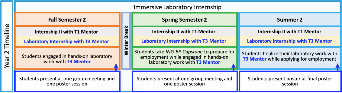 Cartoon of the timeline of events in the second year of the ING Bridge Program. Throughout the Fall, Spring and Summer of Year 2, students continue working on the Immersive Laboratory Internship portion of the program which includes the following activities (also described above) 1. Meet with their T1 Mentor for ≈1 hour per week 2. Meet with their T3 Mentor for ≈1 hour per week 3. Engage in hands-on lab work in their T3 Mentor’s lab for 36-40 hours per week 4. Attend group meetings for the T3 Mentor’s lab ≈1-2 hours per week. a. Prepare one oral presentation on their project to give during group meeting at least once per summer/semester 5. Prepare one poster on their project to present at a poster session at MSU Denver or a partner institution once per summer/semester. The only deviations from the regularly recurring activities of the Immersive Laboratory Internship occur at the following times for the following reasons: 1. During the Spring Semester of Year 2, the students take ING-BP Capstone: Resumes, Interviews, and Professionalism, wherein they students learn how to properly tailor resumes, cover letters, give job talks, and undergo mock-interviews. a. The time commitment for hands-on lab work drops to ≈20 hours per week while students complete their Capstone coursework. 2. During the second summer in the program, the students continue lab work with their T1 and T3 mentors while preparing tailored materials for actual employment applications. Students may have longer weekly meetings with their T1 and T3 mentors during this time as they prepare for their next transition into the employment sector. a. The time commitment for hands-on research drops to ≈20-30 hours per week while students prepare application materials.