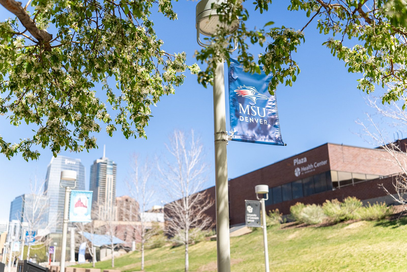 Budding trees on campus with a blue MSU Denver banner and the Plaza Building in the background