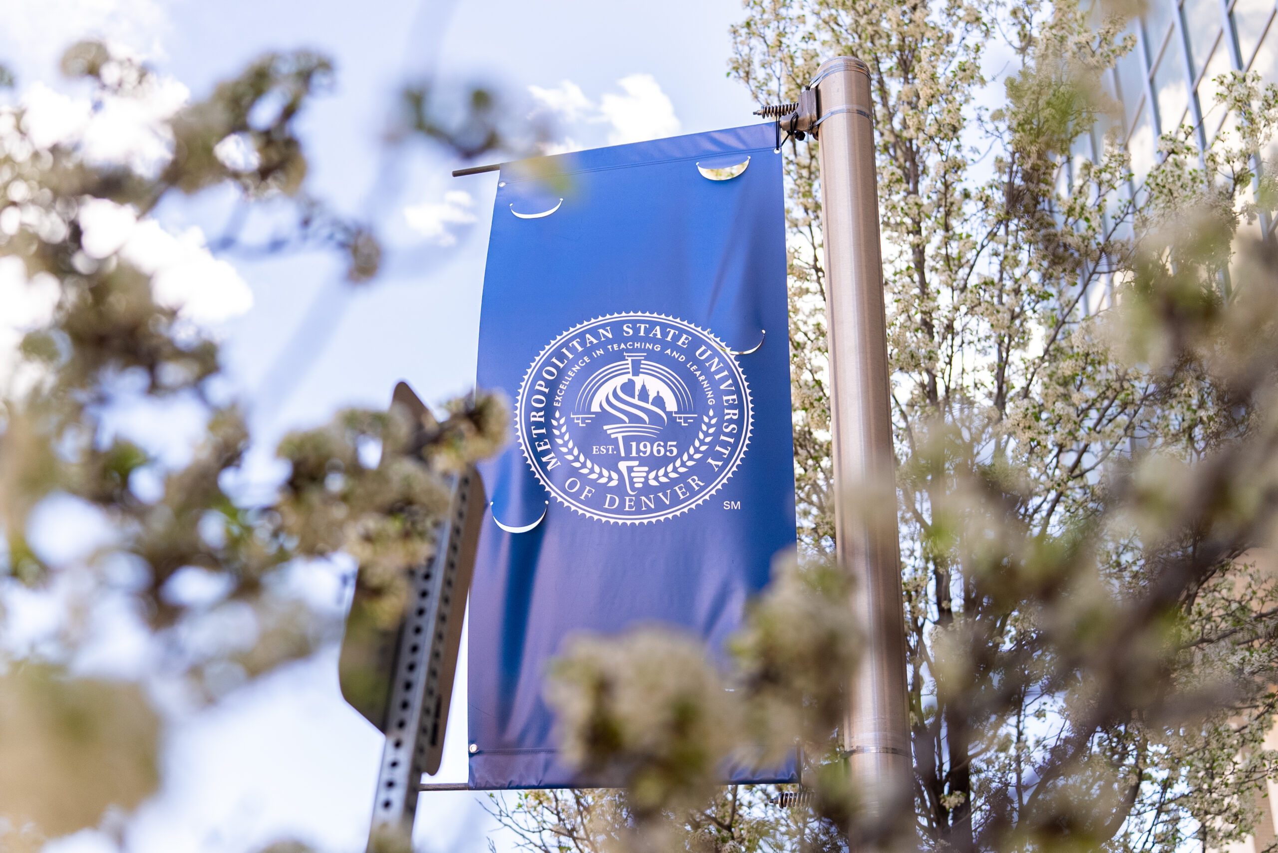 Flowering trees and traveling students on the MSU Denver Campus during spring semester