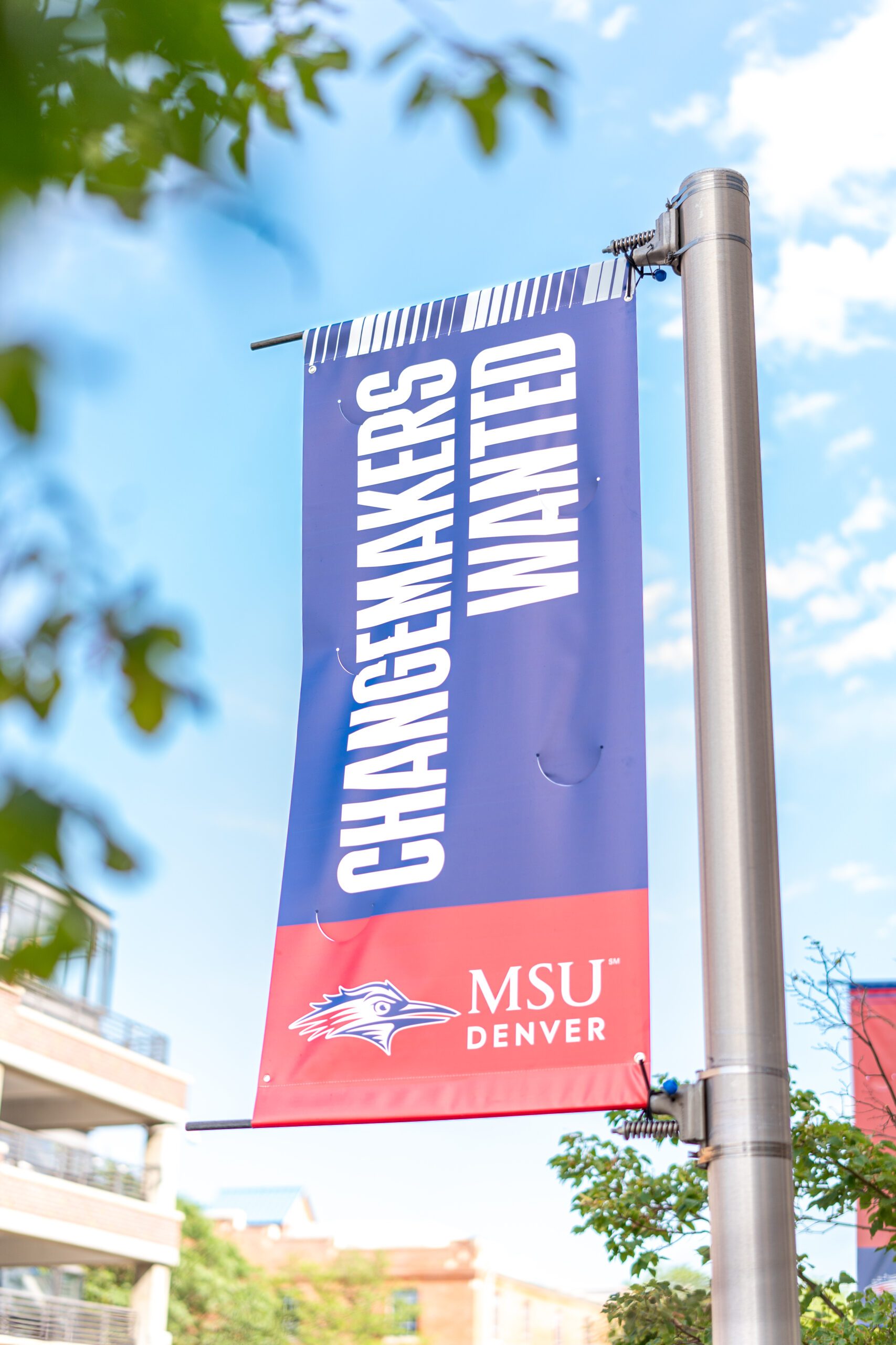 Changemakers Wanted Flag