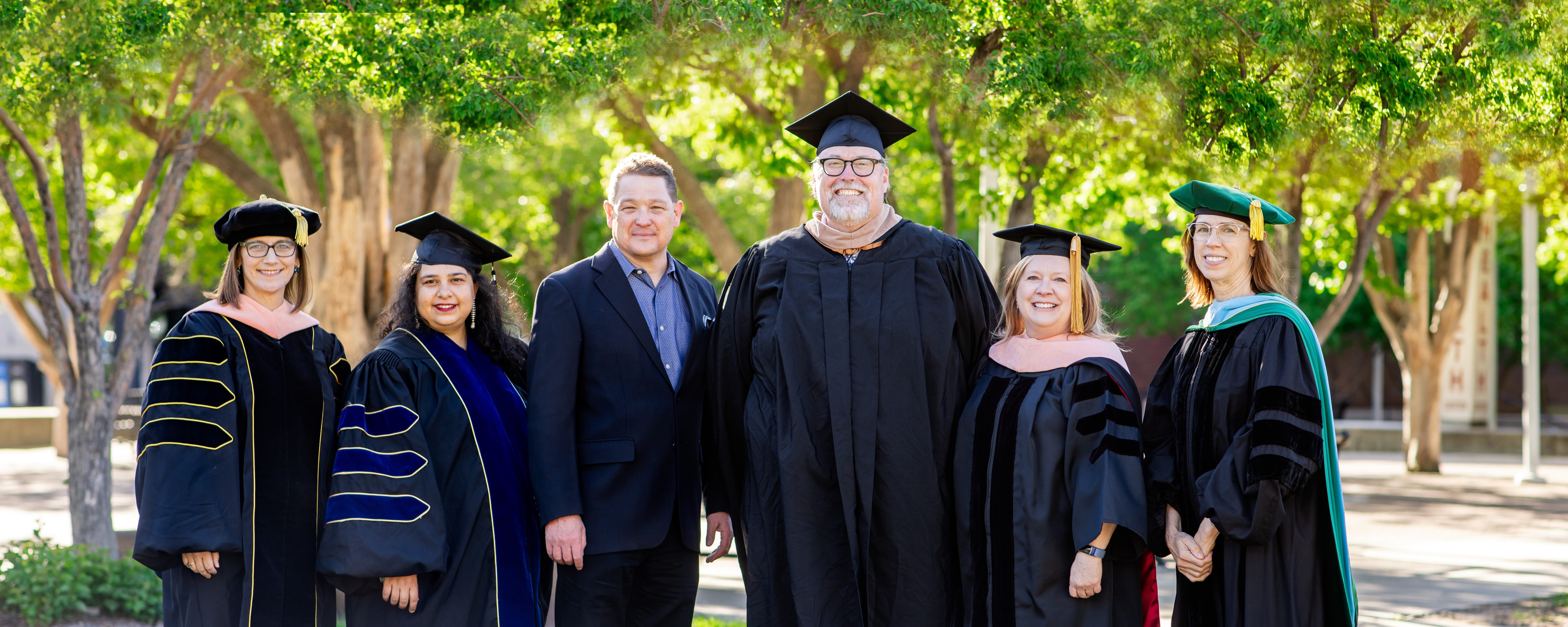 MHA Faculty in Regalia