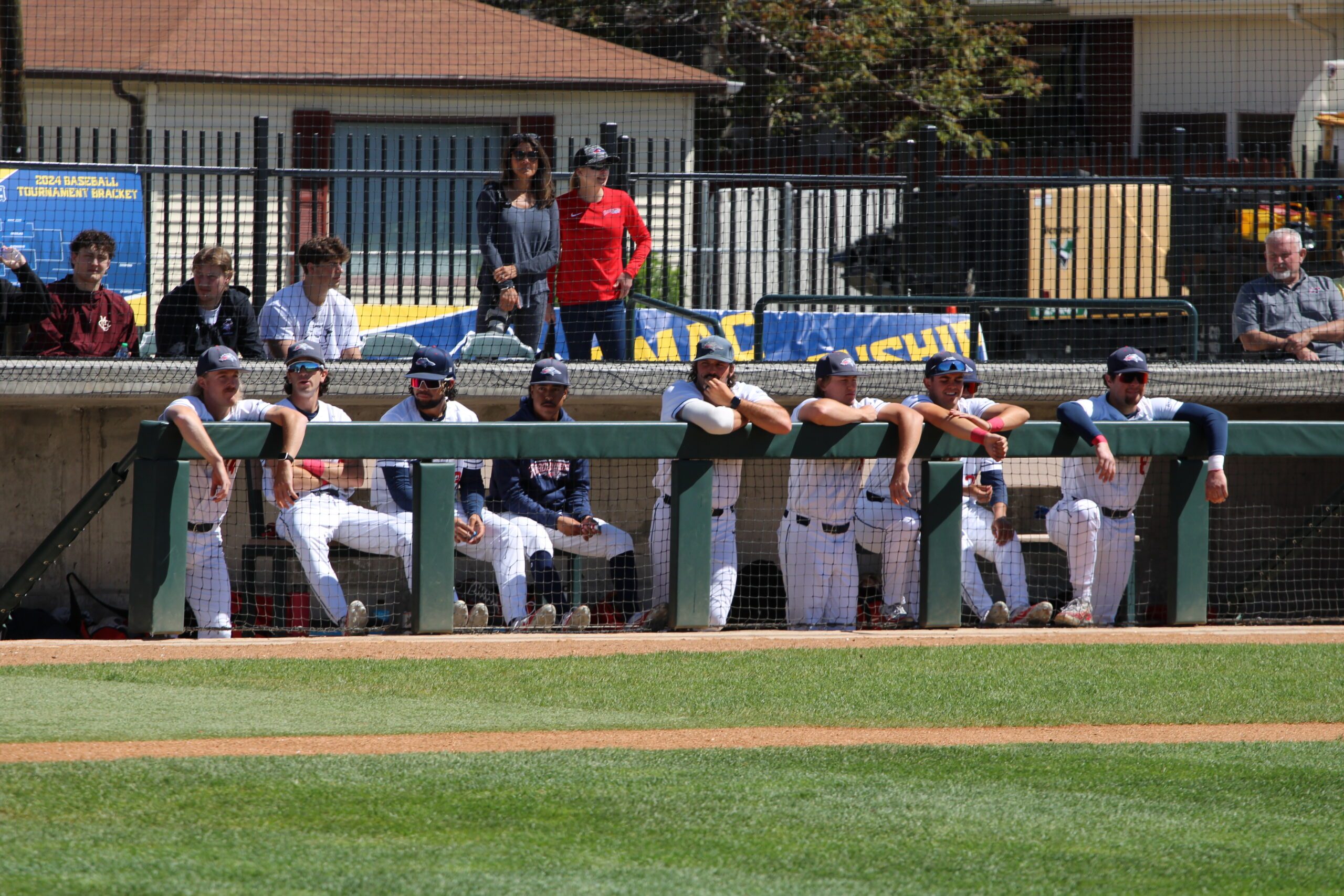 MSU Denver Baseball team