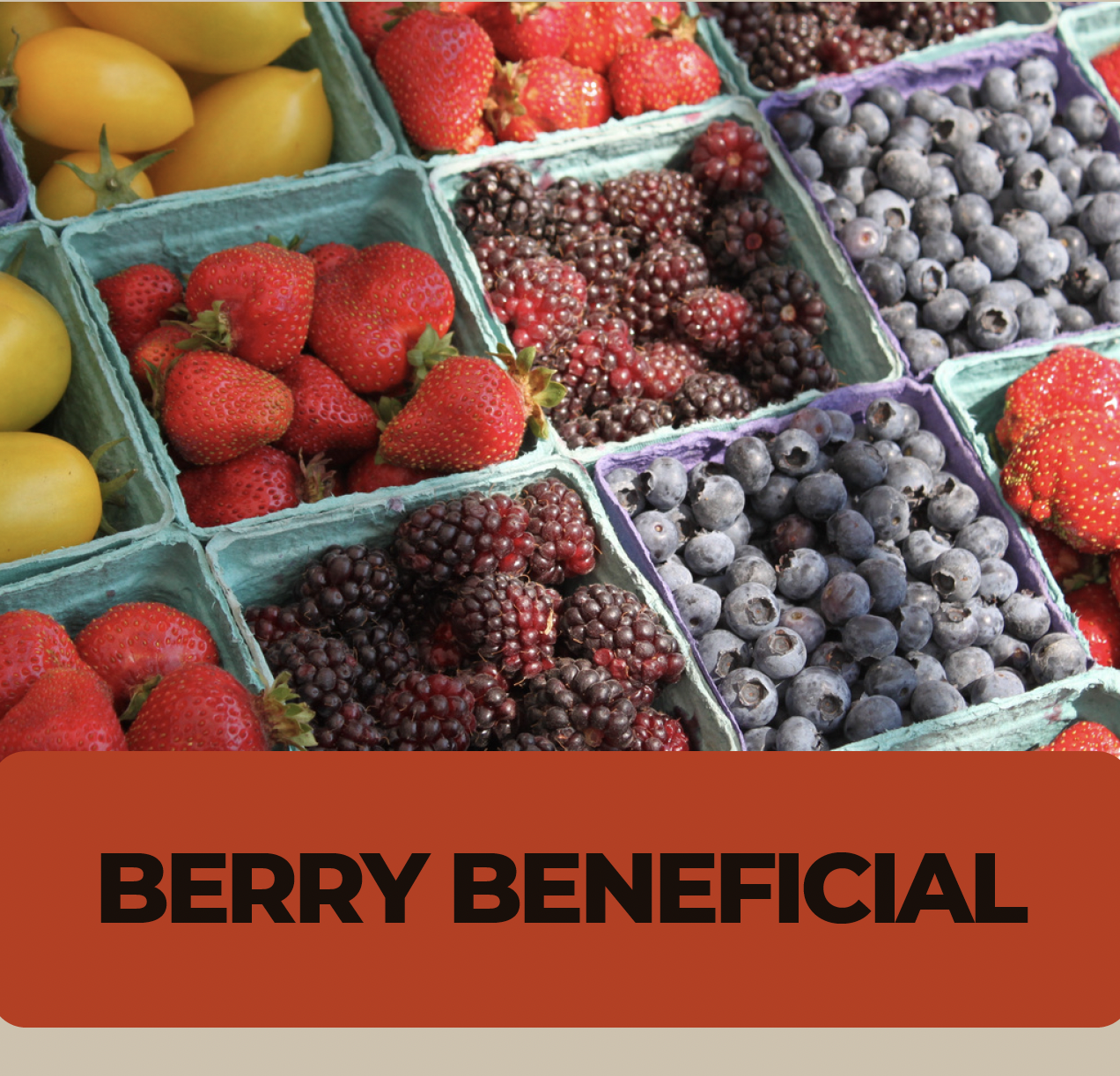 Berry Beneficial title with cartons of berries in the background