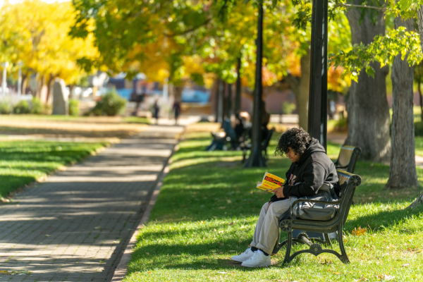 student sitting on bench outside on campus at MSU Denver reading a book with fall colored leaves in the background.