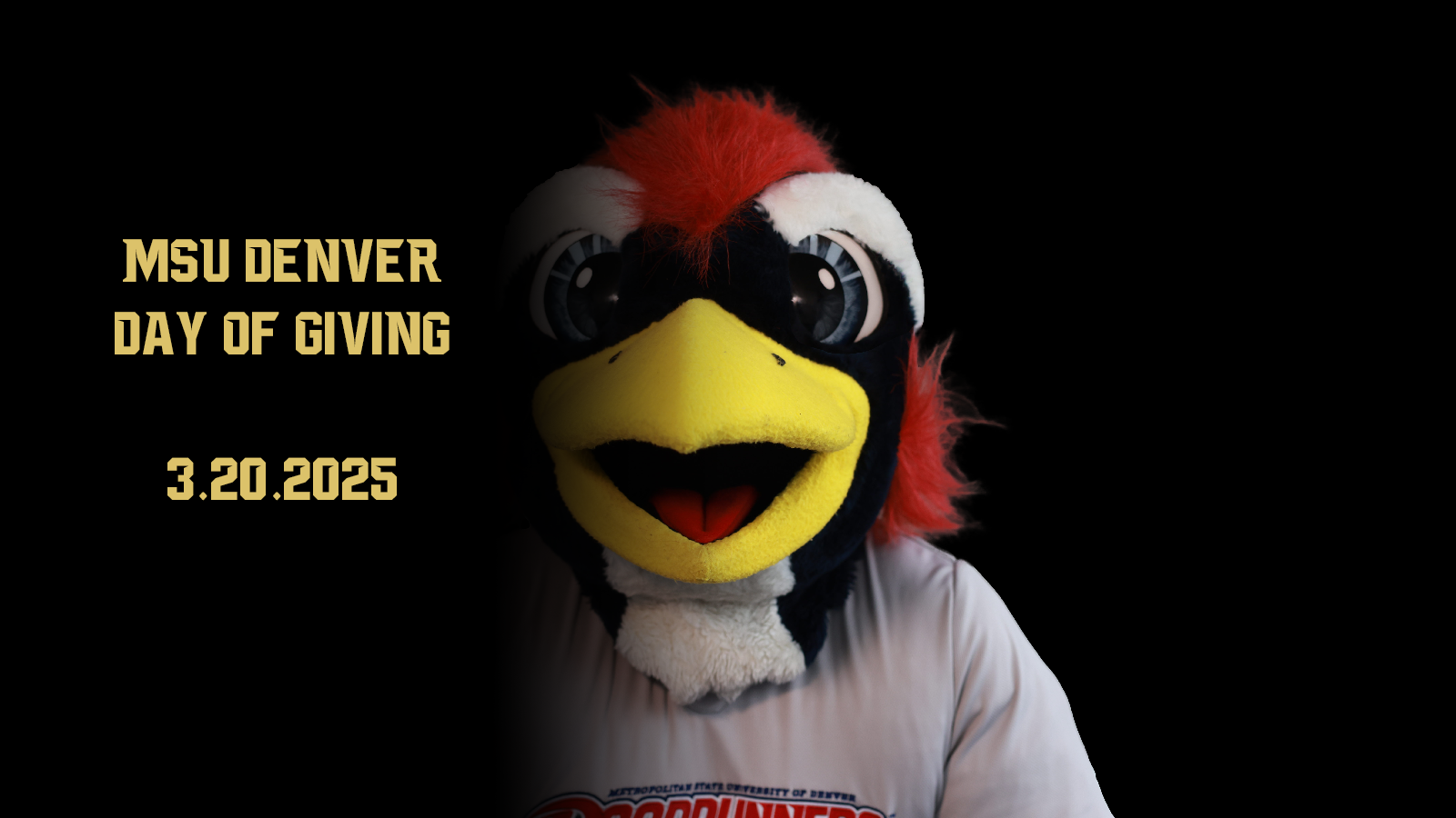 MSU Denver Day of Giving, 3.20.2025, with an image of Rowdy's face and the right side of his face in a shadow