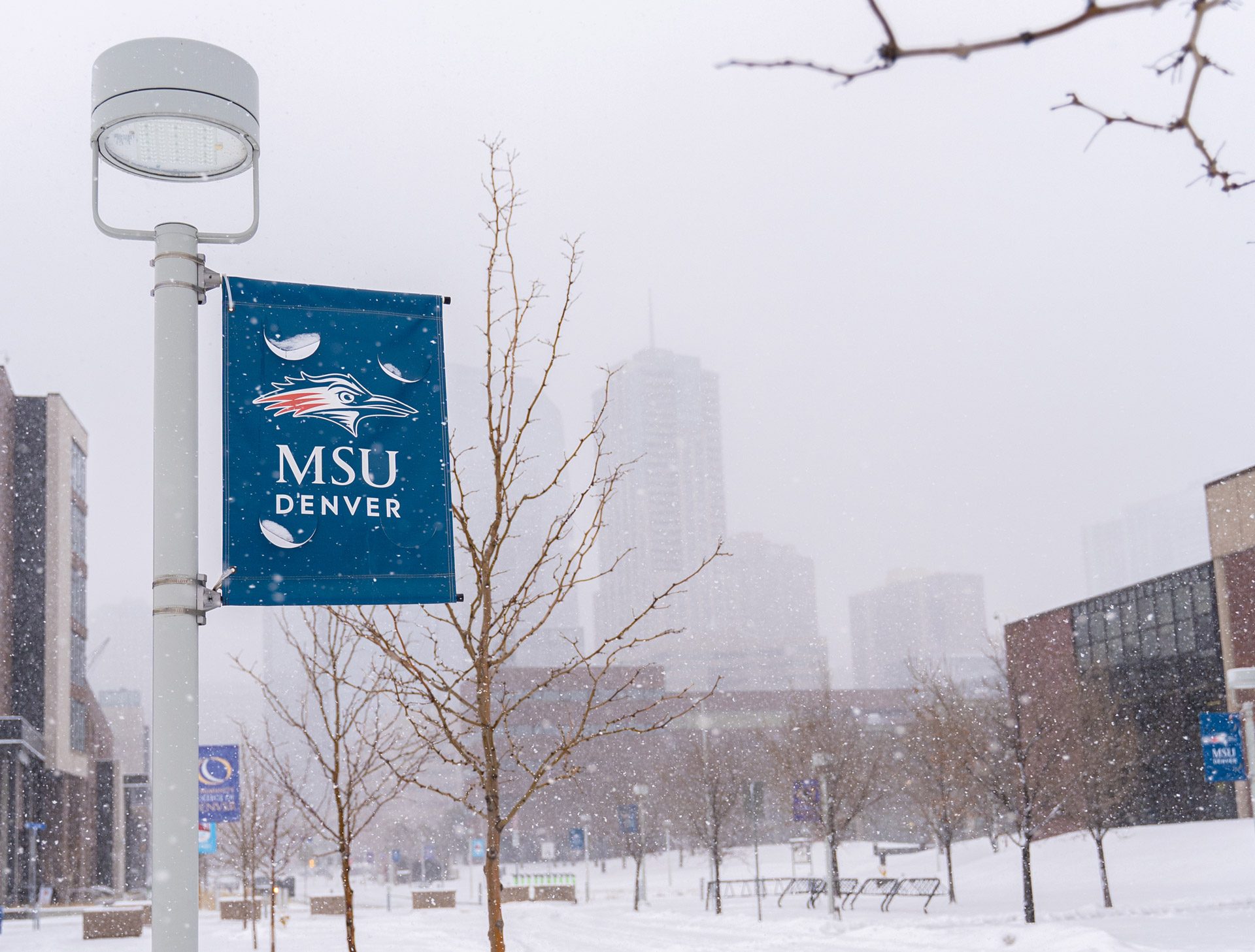 Snow falling on MSU Denver's campus with a blue MSU Denver sign hanging on a light pole and downtown Denver barely visible through the snow in the background.