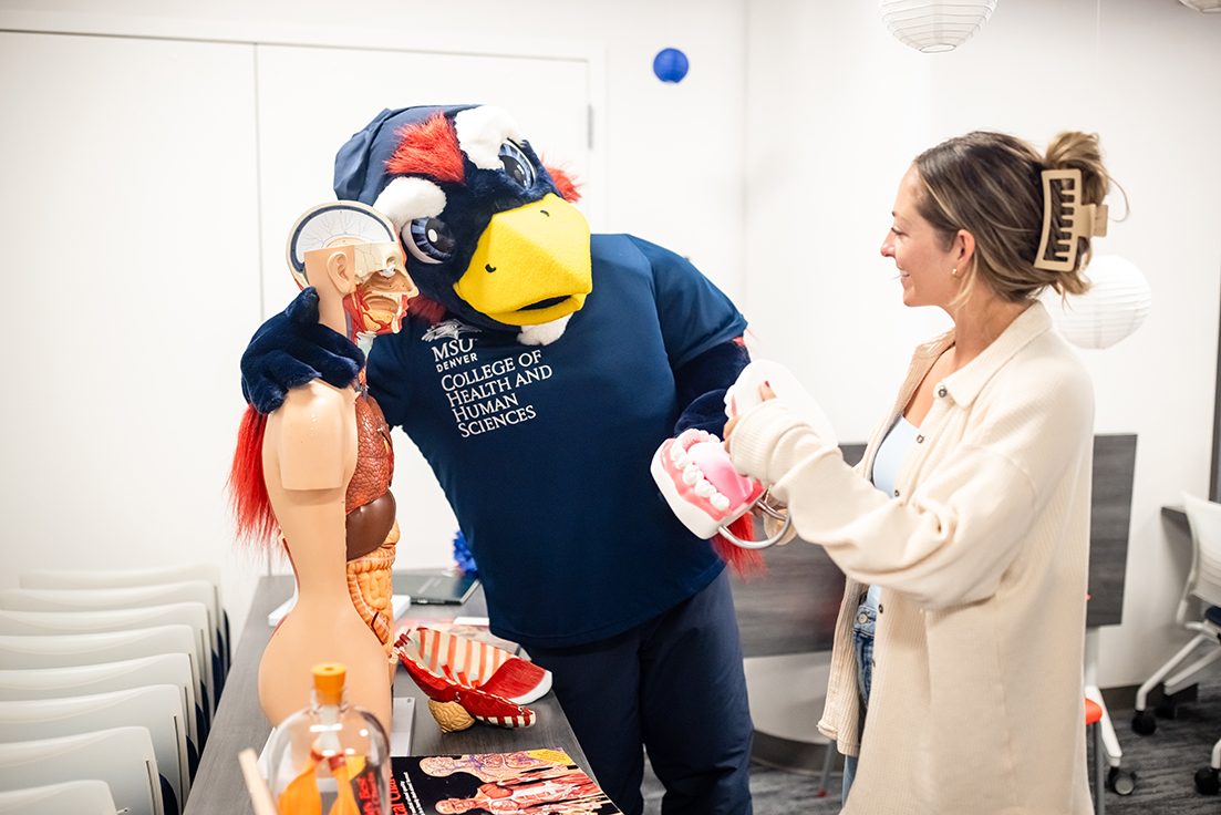 Rowdy the Roadrunner with his arm around an anatomical model of an upper torso with an SLHS student showing him a model of a mouth.