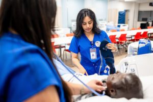 MSU Denver nursing students Marisa Schreiner, L, listens to lung sounds with a fellow student, Jimena Malta on Aug. 12, 2024, at the Simulation and Skills Laboratory.