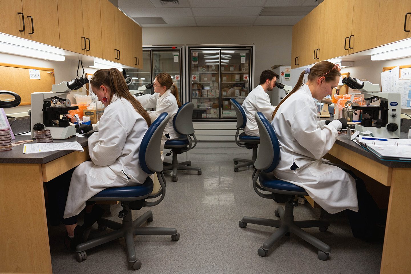 Science students learning at workstations in lab