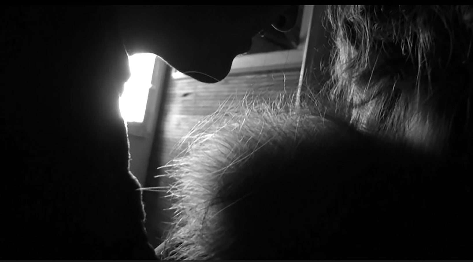 Silhouetted profile of a person near a backlit subject with textured hair.