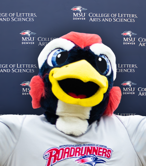 headshot of rowdy the roadrunner