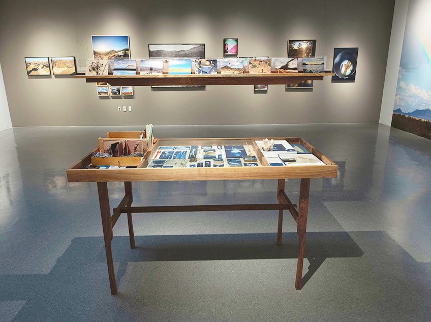 A display table with various cyanotype prints and natural objects in a gallery setting. The prints feature botanical and abstract designs, with additional framed art on the walls.