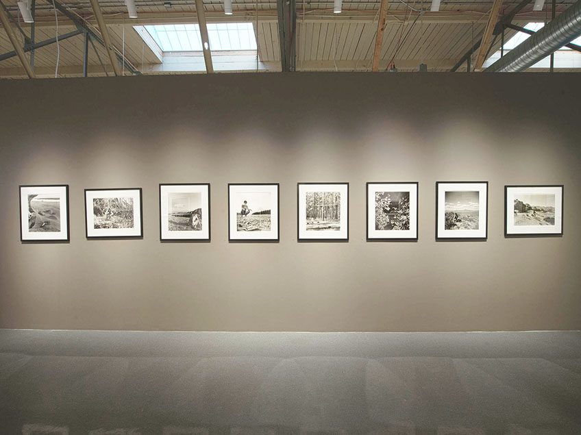 Eight black and white photographs hung on a gray wall. They feature a nude female in nature.