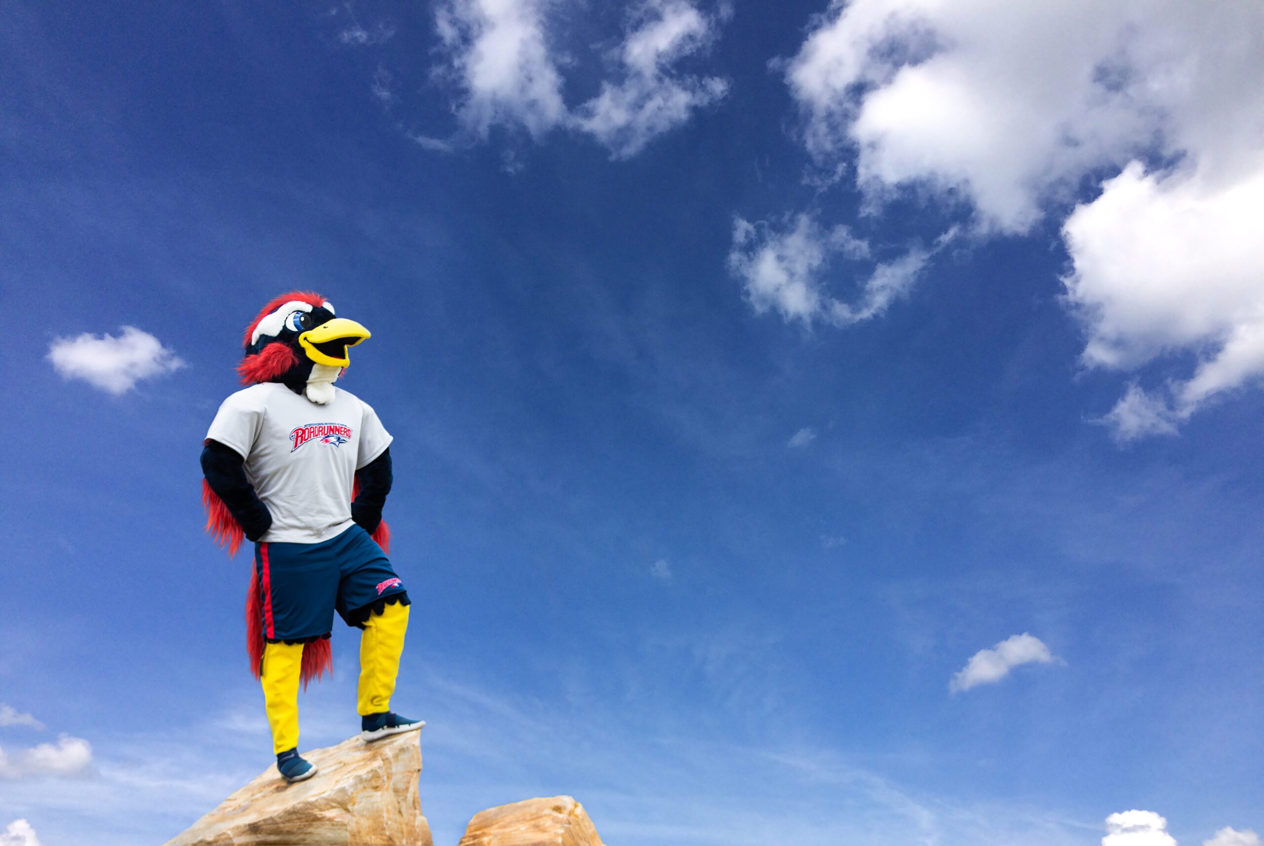 rowdy the roadrunner with sky background