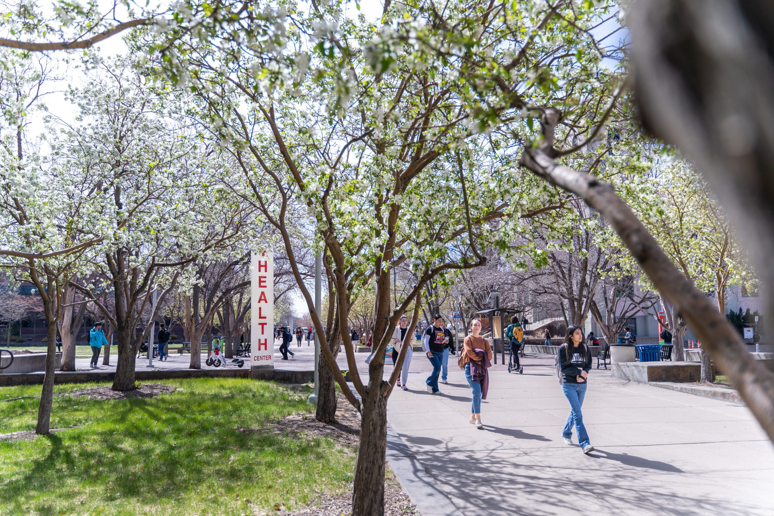 The Auraria Campus begins to bloom.