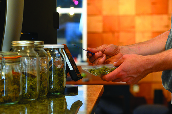 Cannabis 101