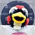 MSU Denver mascot Rowdy the roadrunner smiling