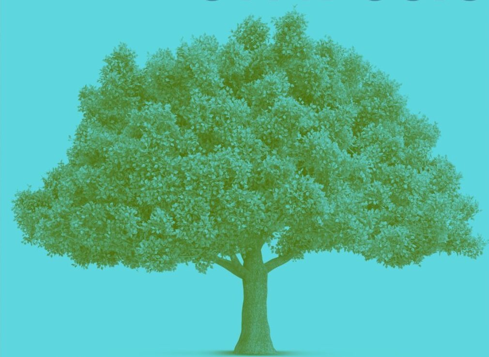 Spring 20225 honors thesis symposium agenda