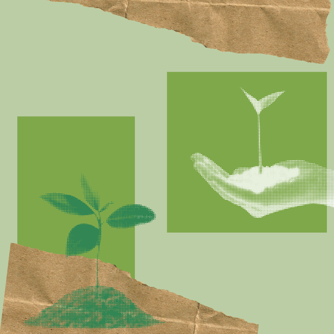 Collage of graphics. Light green background, brown crinkle paper on the bottom left and top right corners. A darker green box in the middle left is layered behind a green halftone image of a small, leafed plant in a pile of dirt. Another darker green box in the middle right is layered behind a white halftone image of a leafed plant sapling cupped in a hand filled with dirt.