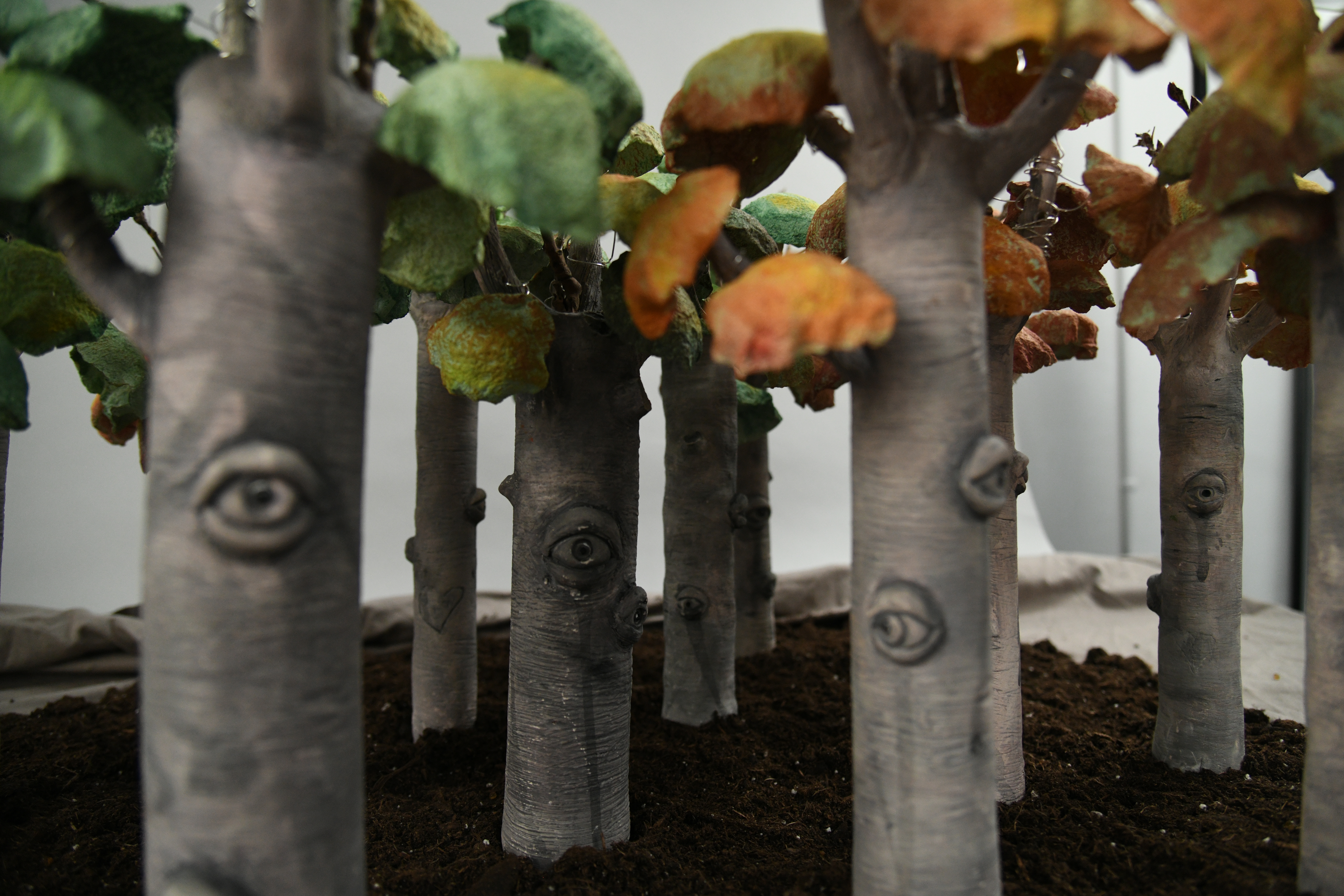 A forest of sculpted trees on a bed of soil. The tree trunks have carved eyes instead of knots.