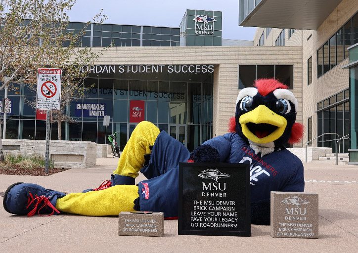Rowdy laying on the cement outside of JSSB with three bricks from the Roadrunners Rise campaign