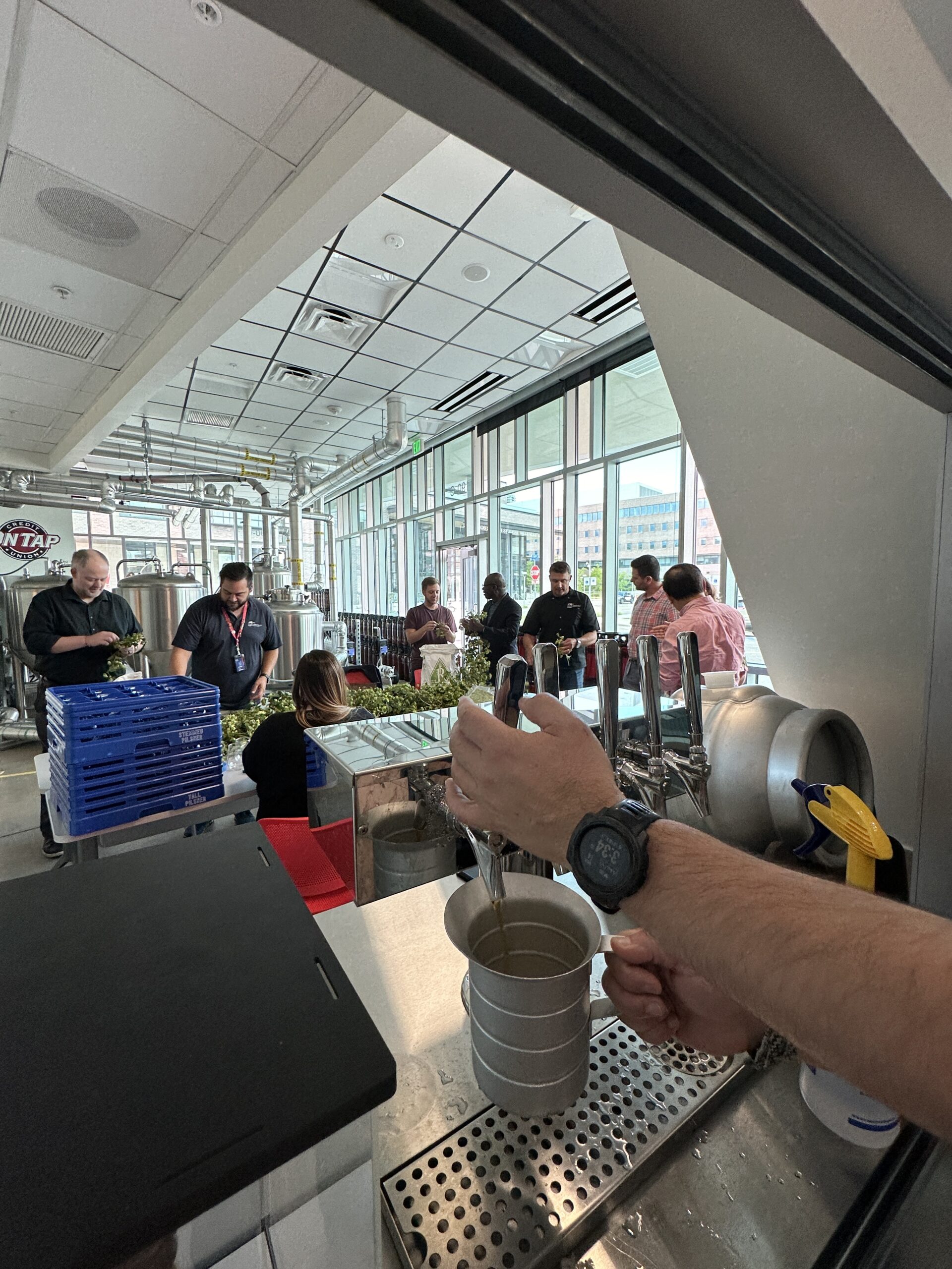 picking hops in the charlie papazian brewing education lab