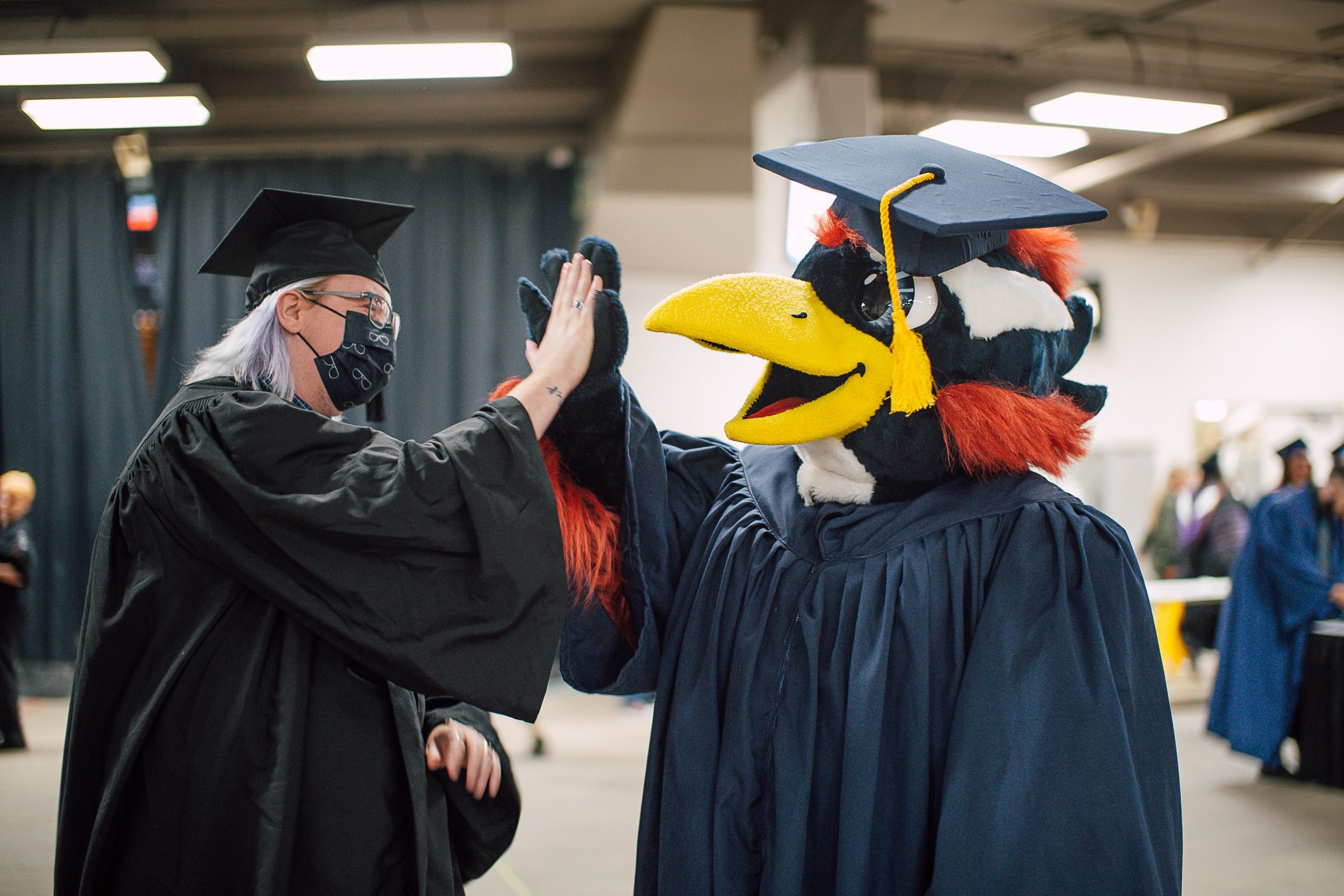 Rowdy high fives a person in a cap and gown at graduation.