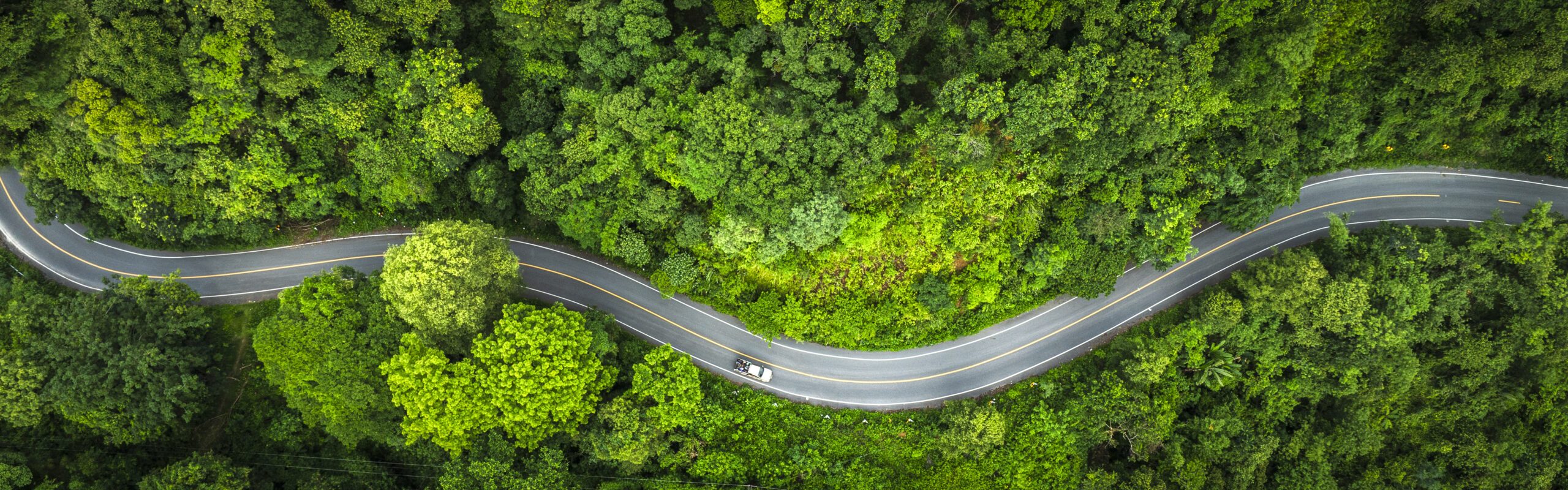 Green road image
