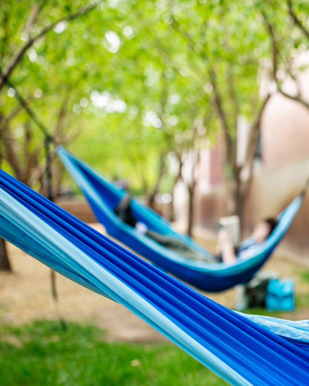 hammocks on Auraria Campus