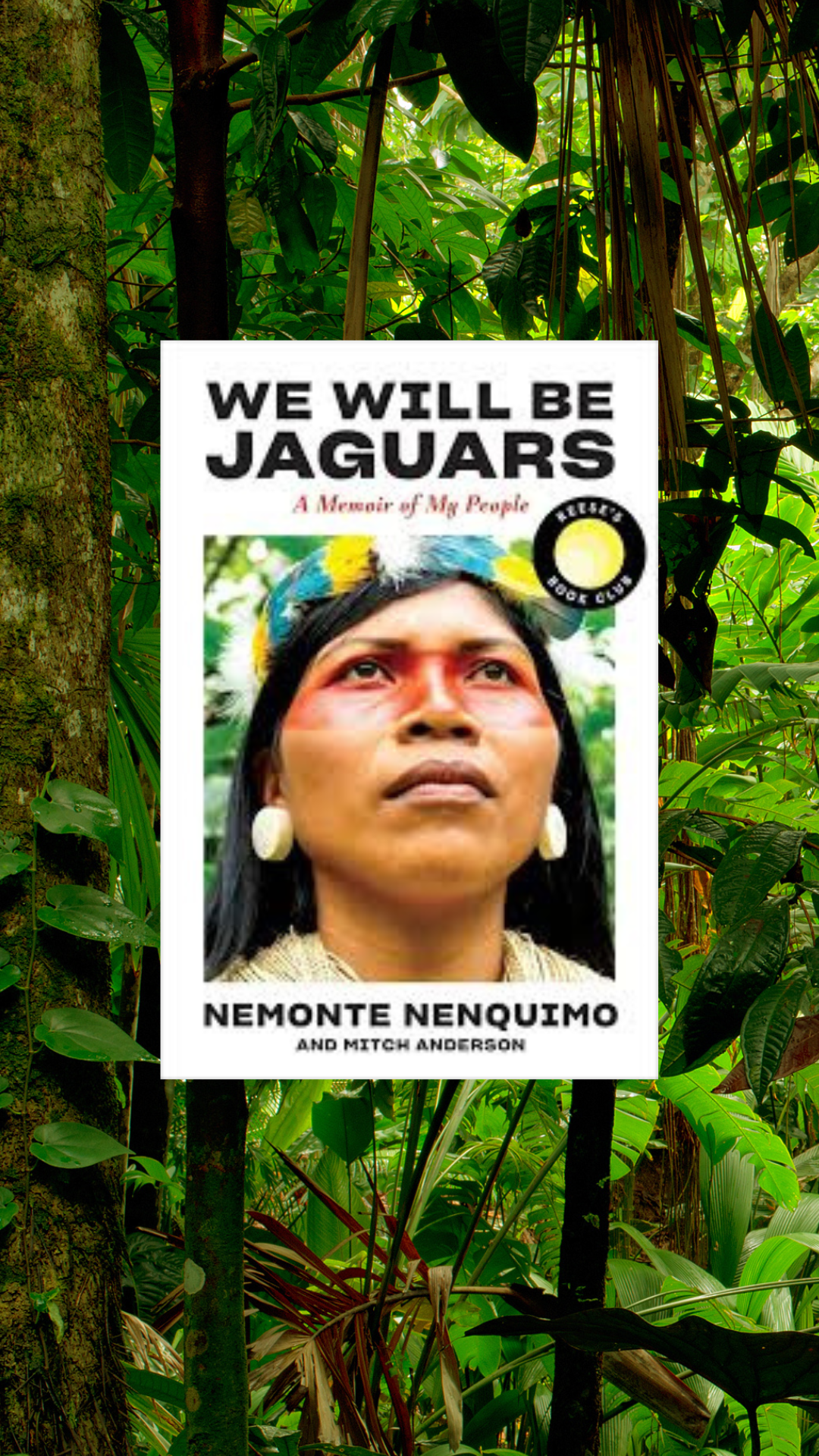 Image of the cover of We Will Be Jaguars book