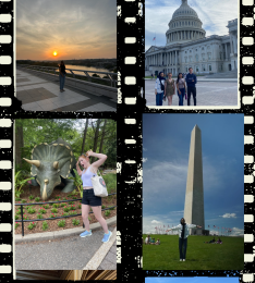 a collage of students doing a variety of activities in Washington, DC, including a sunset photo, standing in front of the US Capitol, at the National Zoo, and in front of the Washington Monument.