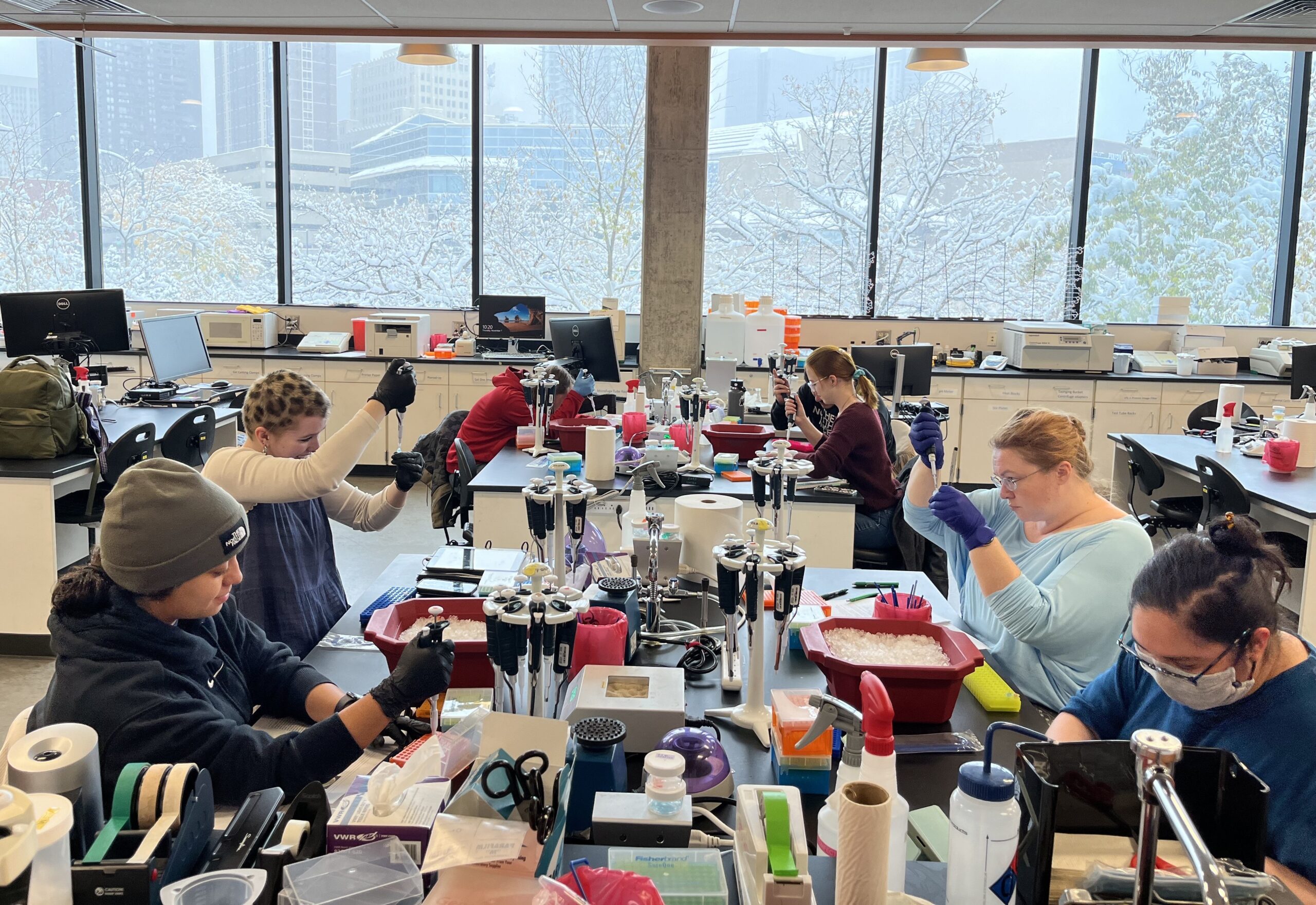 Students working on a lab using Aiptasia.