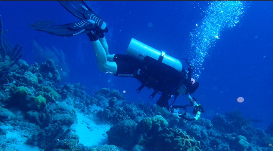 Dr. Cattell diving in Bonaire with a GoPro rig used to film corals.