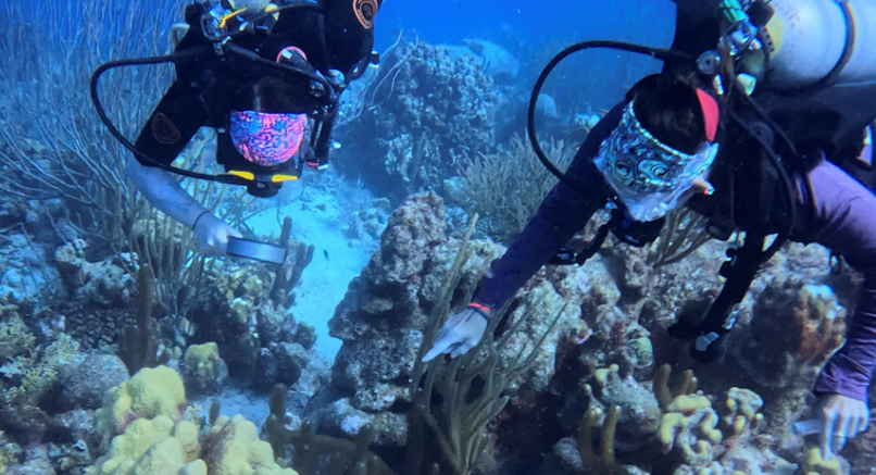 Meg Green (BIO alumna) and Dr. Cattell diving in Bonaire.