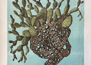 The roots of a large nopal cactus shaped into the figure of a man in a seated pose with his elbow on his knee and his chin in his hand. The main part of the plant rests upon his back.