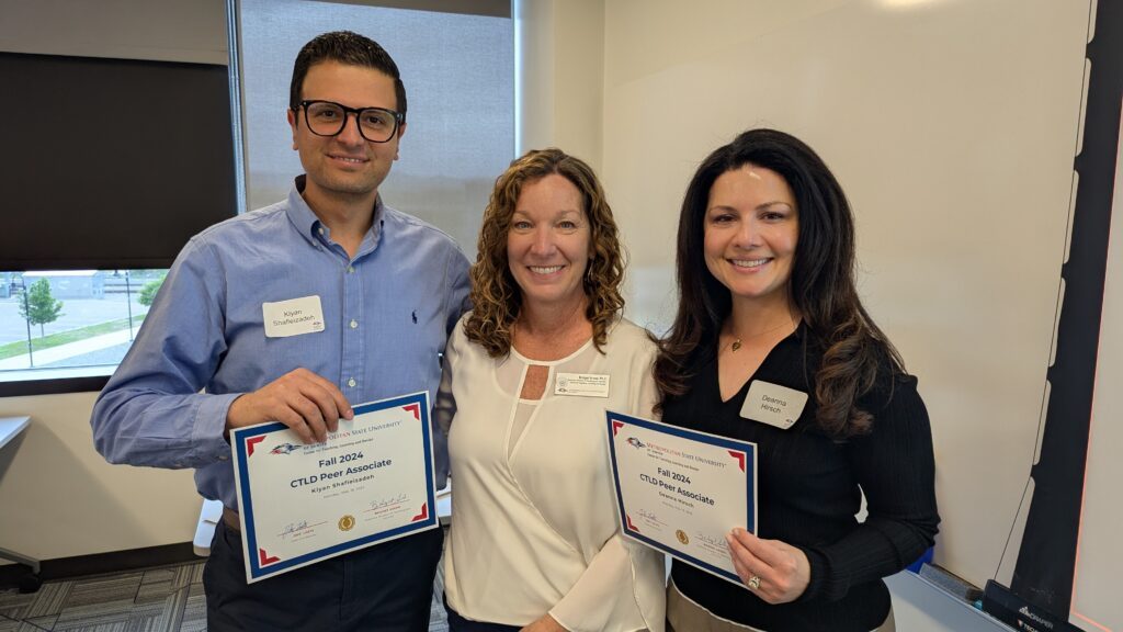 Fall 2024 CTLD Peer Associates