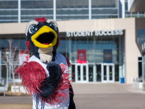 MSU Denver's mascot 