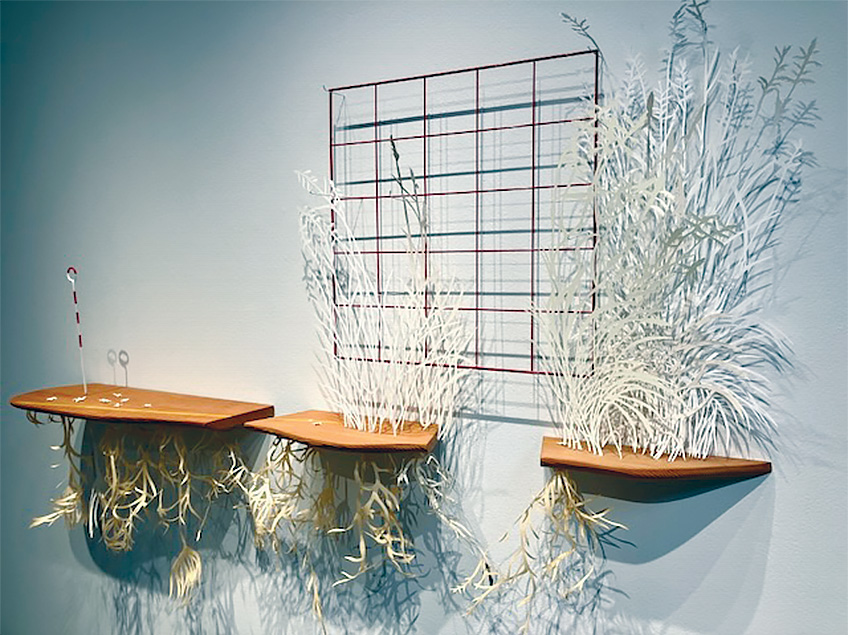 Art installation with three wooden shelves displaying intricate cut-outs of plant forms and a red grid on the wall.