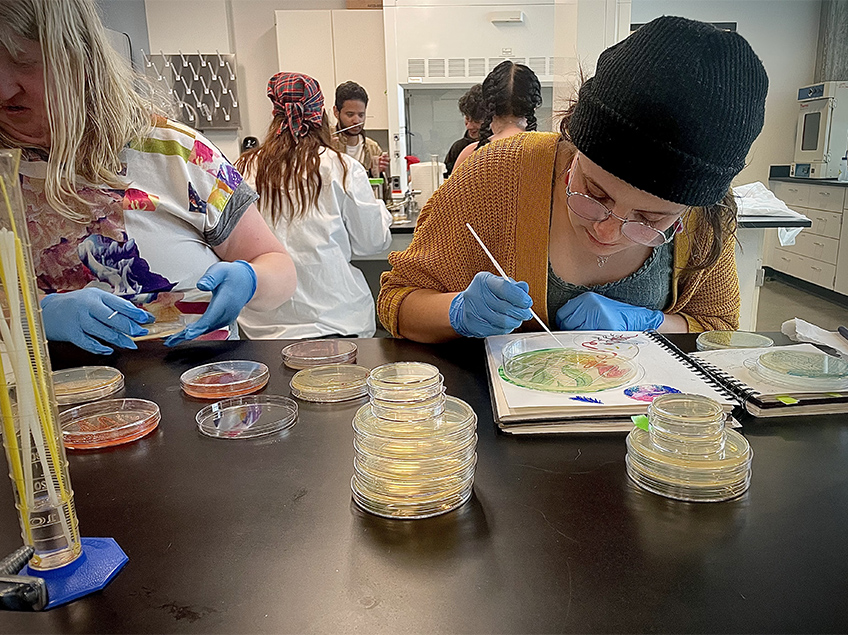 Students paint with bacteria into a petri dish.