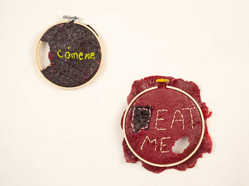 Two needlepoint hoops filled with bio art pieces.