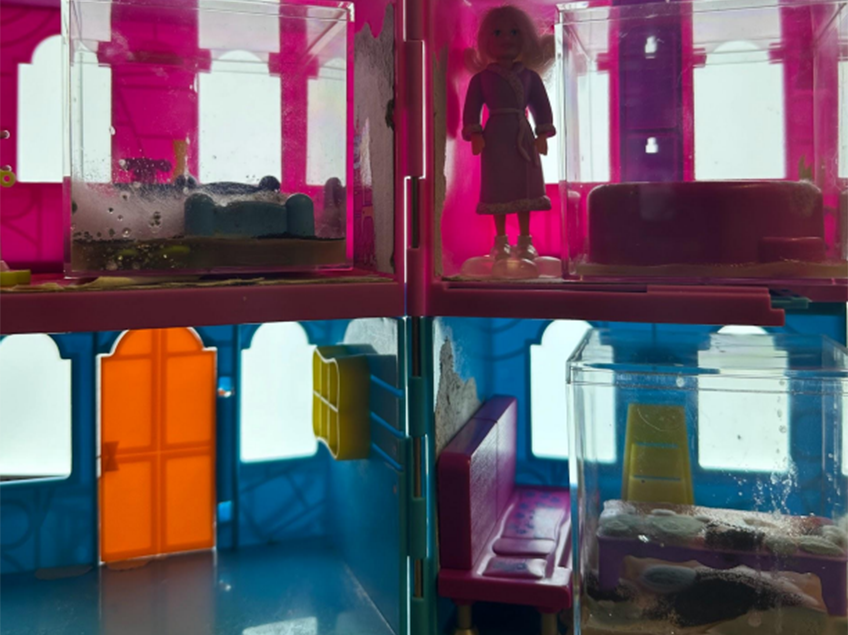 Close up of a plastic doll house inhabited with live microorganisms.