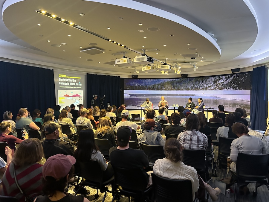 A panel discussion with a full audience.