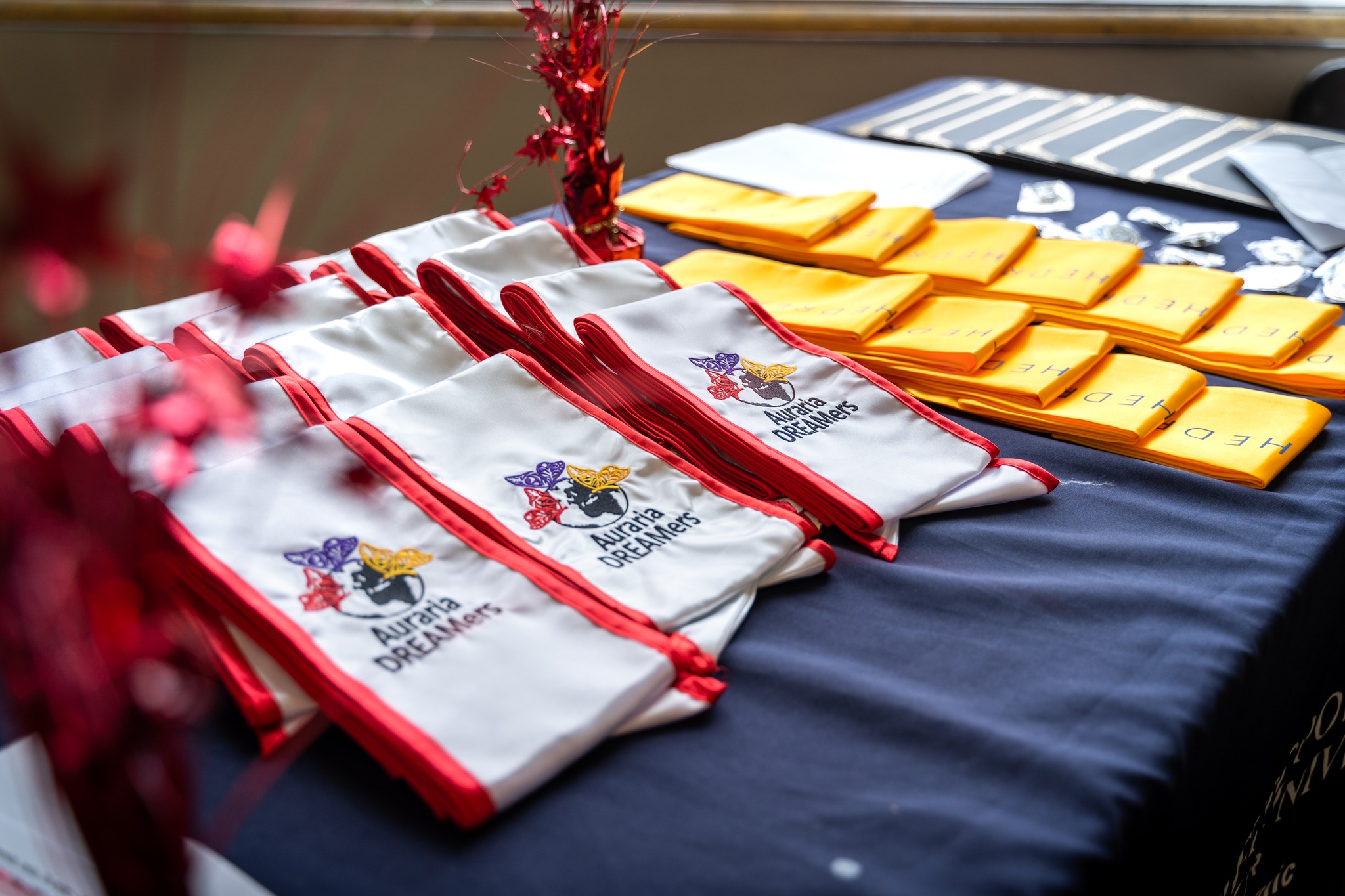 MSU Denver Dreamer Stoles